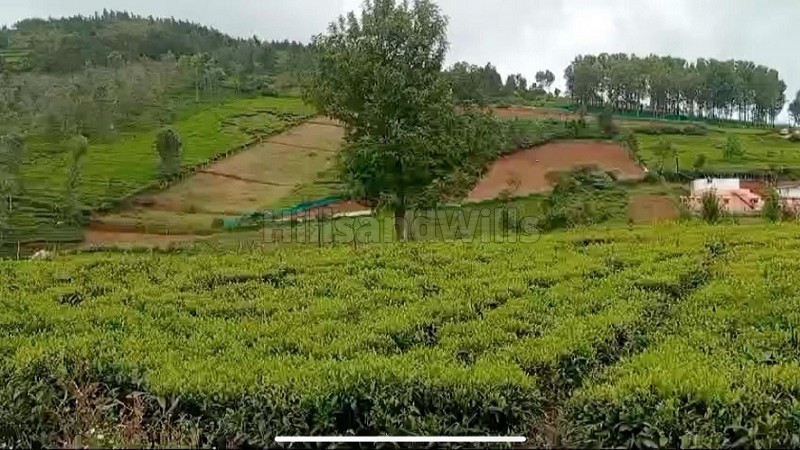 ₹25 Lac&nbsp;|&nbsp;10 cents residential plot for sale  in kambatti ooty