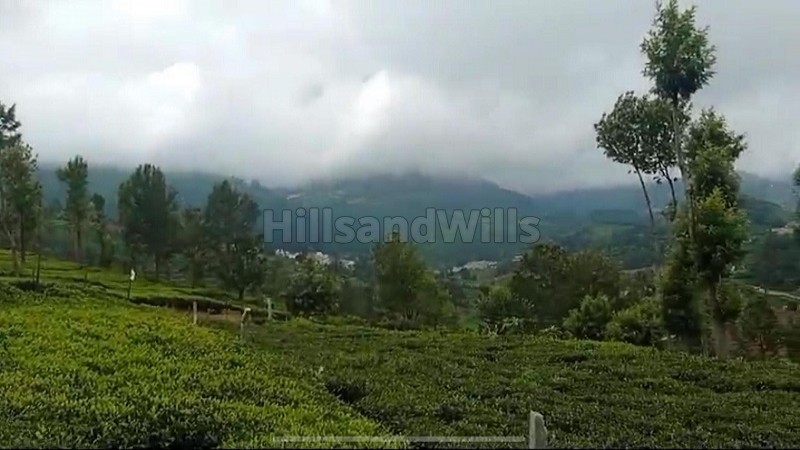 ₹25 Lac&nbsp;|&nbsp;10 cents residential plot for sale  in kambatti ooty