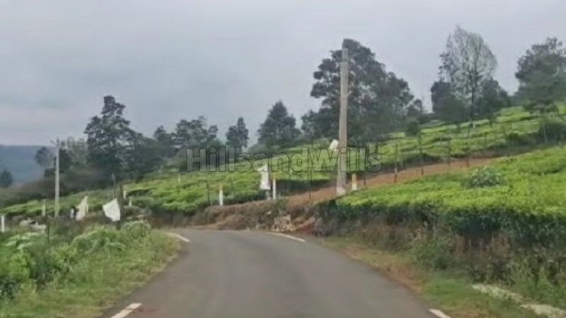 ₹45 Lac&nbsp;|&nbsp;18 cents  tea garden land for sale  in kanagacombai ooty