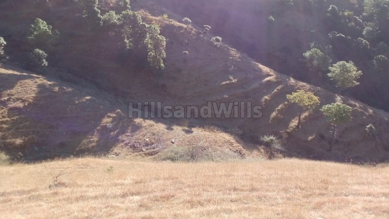 ₹3 Cr&nbsp;|&nbsp;17 bigha agriculture land for sale  in mundaghat shimla