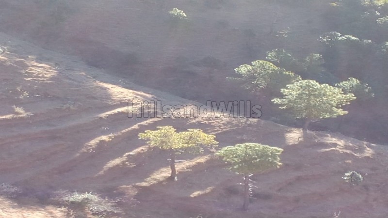 ₹3 Cr&nbsp;|&nbsp;17 bigha agriculture land for sale  in mundaghat shimla