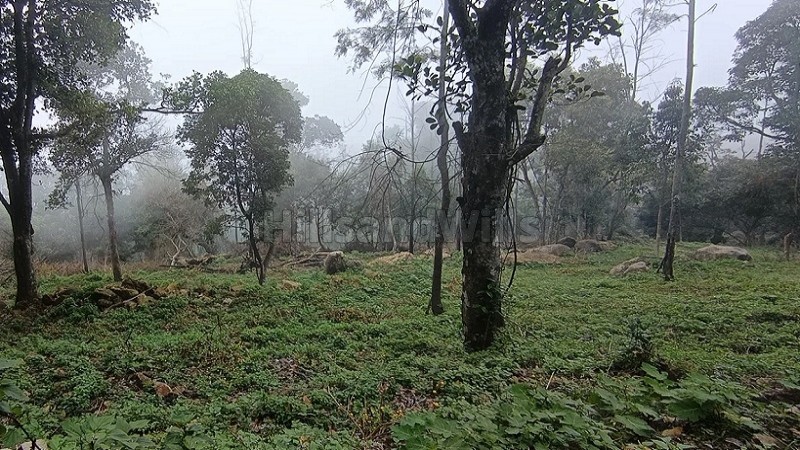 ₹36 Lac&nbsp;|&nbsp;12 cents  gated community plot for sale  in pethuparai kodaikanal