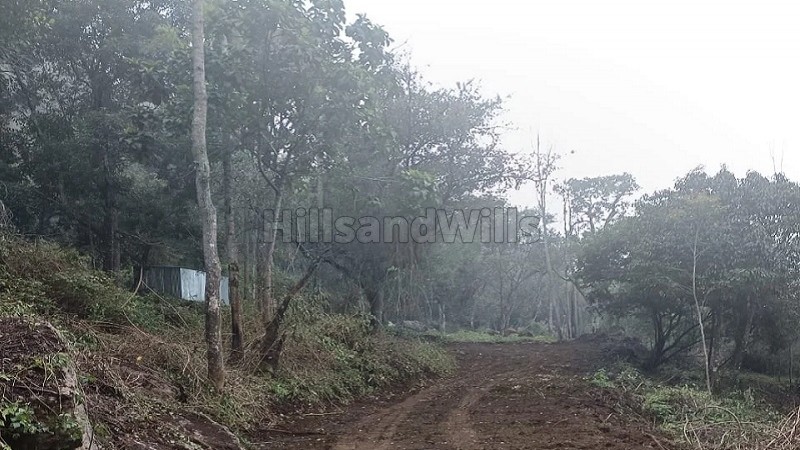 ₹36 Lac&nbsp;|&nbsp;12 cents  gated community plot for sale  in pethuparai kodaikanal