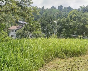 34.2 cents commerical land for sale  in anachal munnar