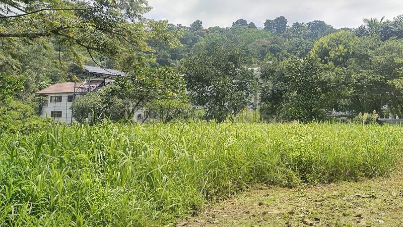 ₹3.40 Cr&nbsp;|&nbsp;34.2 cents commerical land for sale  in anachal munnar