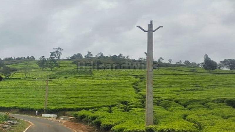 ₹47.50 Lac&nbsp;|&nbsp;19 cents residential plot for sale  between kotagiri and ooty