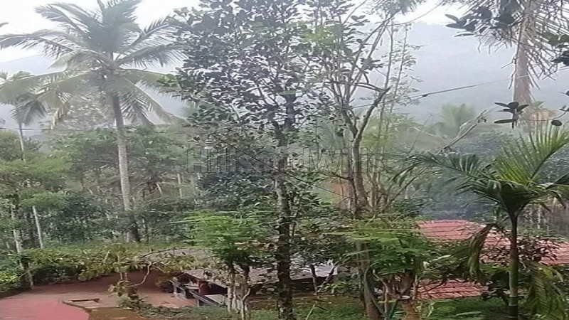 ₹60 Lac&nbsp;|&nbsp;1bhk  farmhouse for sale  in sulthan bathery wayanad