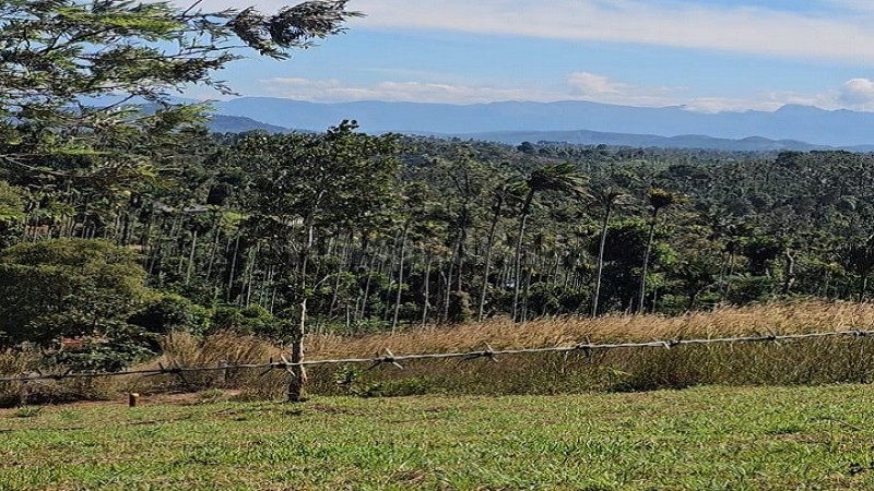 ₹60 Lac&nbsp;|&nbsp;40 cents residential plot for sale  in vaduvanchal wayanad