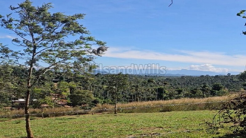 ₹60 Lac&nbsp;|&nbsp;40 cents residential plot for sale  in vaduvanchal wayanad