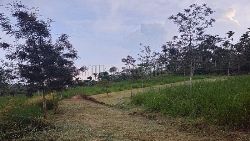 ₹60 Lac&nbsp;|&nbsp;40 cents residential plot for sale  in vaduvanchal wayanad