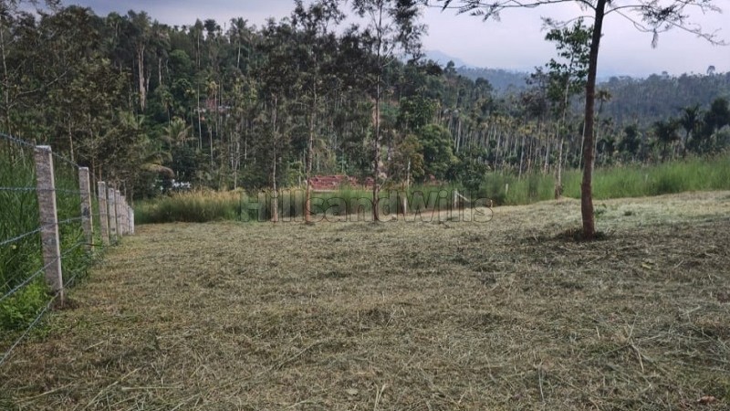 ₹60 Lac&nbsp;|&nbsp;40 cents residential plot for sale  in vaduvanchal wayanad