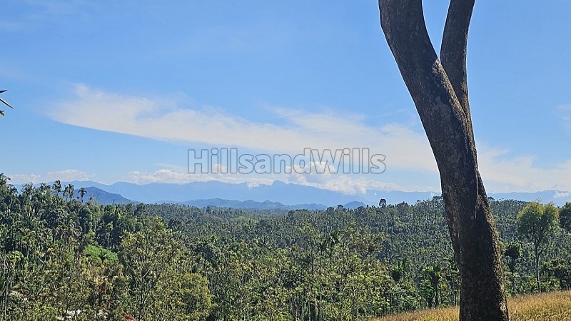 ₹60 Lac&nbsp;|&nbsp;40 cents residential plot for sale  in vaduvanchal wayanad