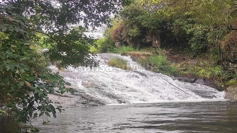 ₹40 Lac&nbsp;|&nbsp;1 acres spice & teak estate for sale  in pallangi kodaikanal