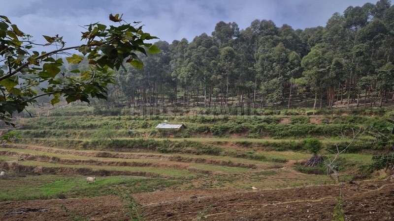 ₹85 Lac&nbsp;|&nbsp;2.15 acres  panoramic view agriculture land for sale  in poombarai kodaikanal
