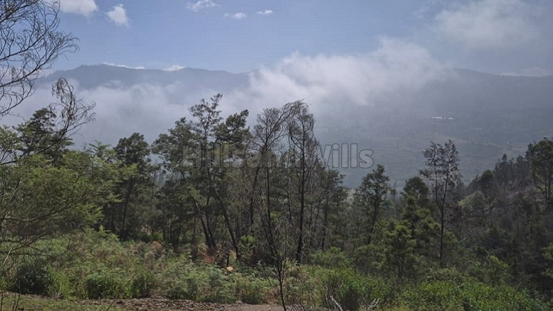 ₹85 Lac&nbsp;|&nbsp;2.15 acres  panoramic view agriculture land for sale  in poombarai kodaikanal