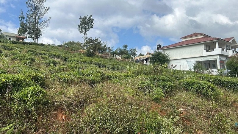 ₹75 Lac&nbsp;|&nbsp;24 cents residential plot for sale  in kattabettu kotagiri