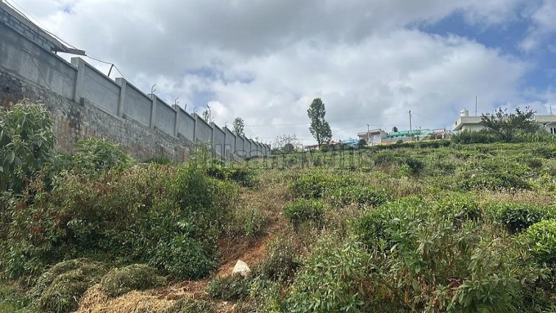 ₹75 Lac&nbsp;|&nbsp;24 cents residential plot for sale  in kattabettu kotagiri