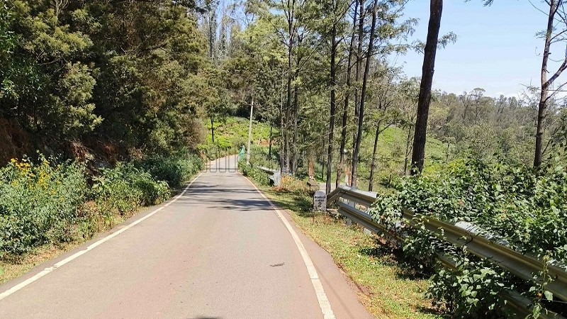 ₹1.40 Cr&nbsp;|&nbsp;40 cents  tea garden land for sale  in kallatty village kotagiri