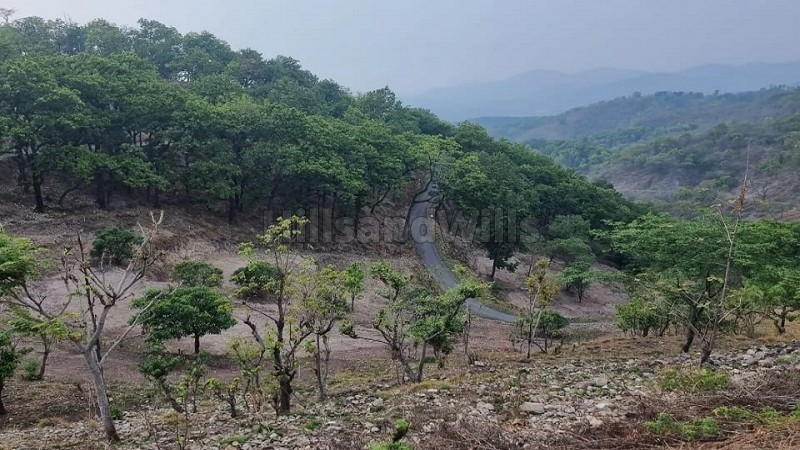 ₹3.60 Cr | 5.6 bigha agriculture land for sale in thano range rishikesh