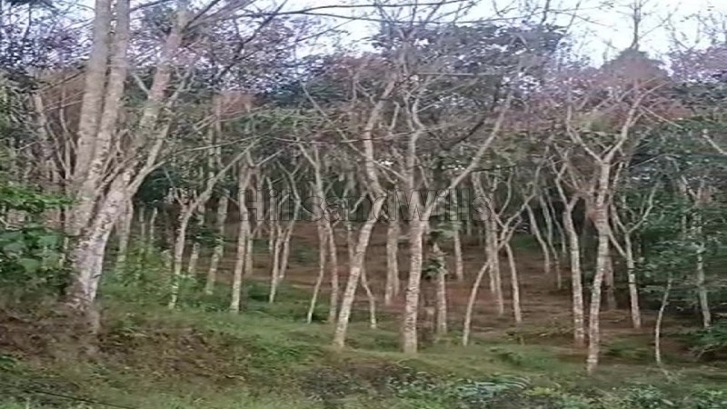 ₹1.10 Cr | 1bhk farmhouse amidst rubber estate for sale in anachal munnar