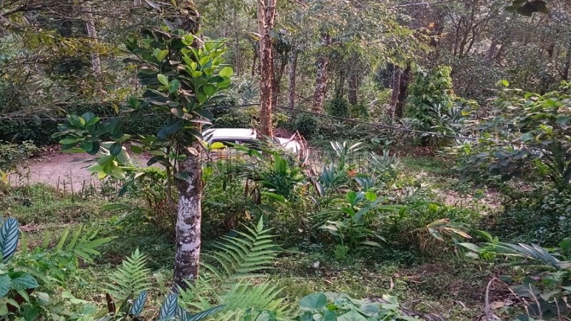 ₹1.10 Cr | 1bhk farmhouse amidst rubber estate for sale in anachal munnar