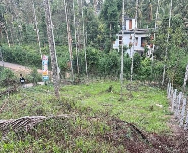 10 cents commerical land for sale  kalpetta wayanad