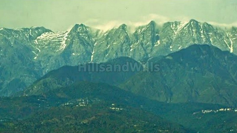 ₹8 Cr | 2 ares agriculture land for sale near kangra dharamshala