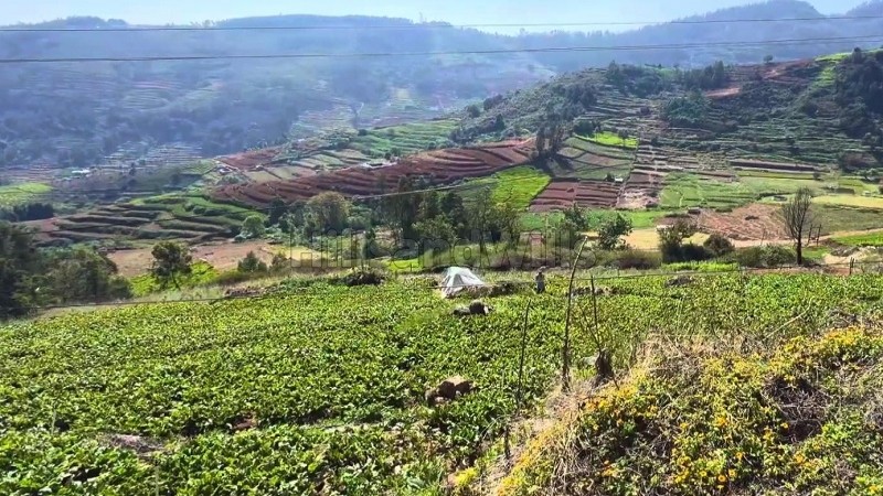 ₹70 Lac | 64 cents agriculture land for sale in denadukombai ooty