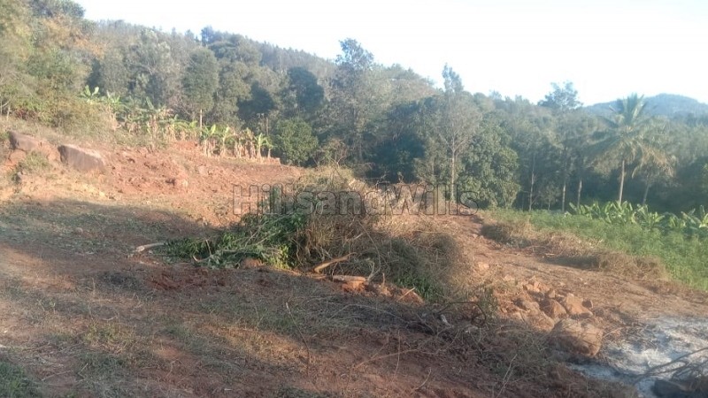 ₹60 Lac&nbsp;|&nbsp;1 acres agriculture land for sale  in avarikadu kolli hills