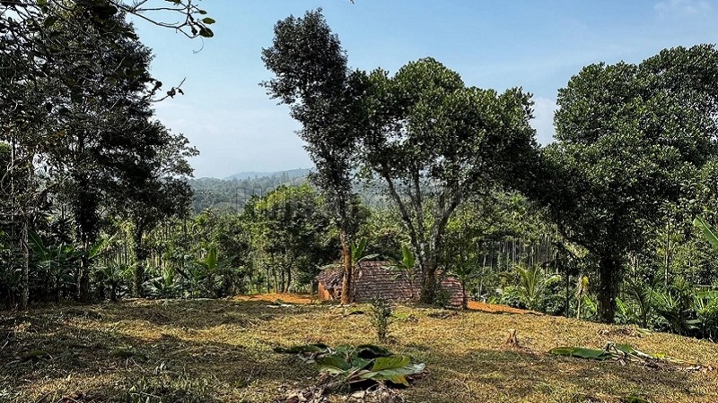 ₹75 Lac&nbsp;|&nbsp;3 acres agriculture land for sale  in oddappati agali kerala