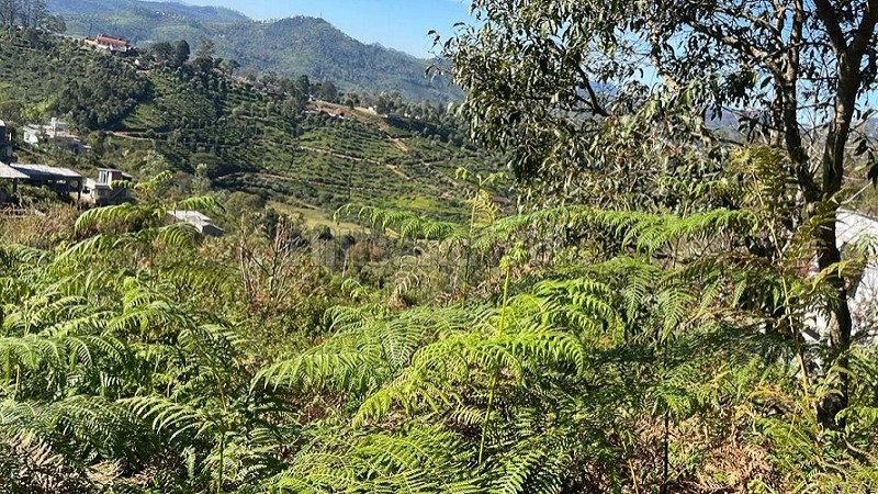 ₹22 Lac&nbsp;|&nbsp;2326 sq.ft. residential plot for sale  in selas valley coonoor