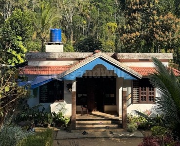 4bhk independent house for sale  in illychuvadu wayanad
