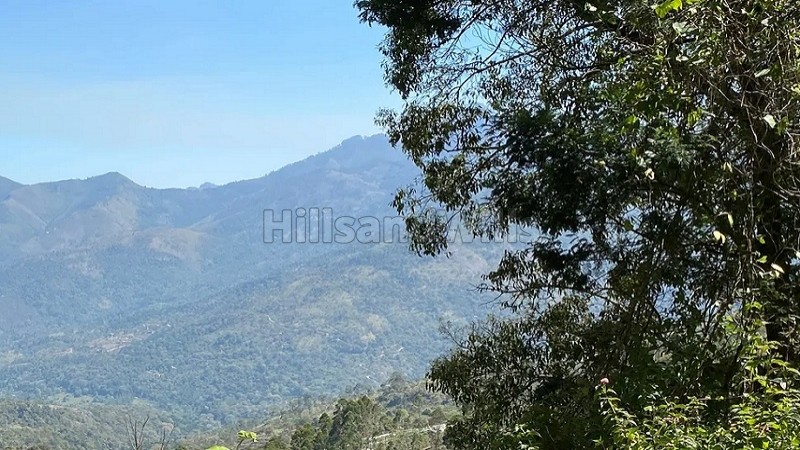 ₹77 Lac - 81 Lac&nbsp;|&nbsp;25 cents - 30 cents residential plot for sale  in vilpatti kodaikanal