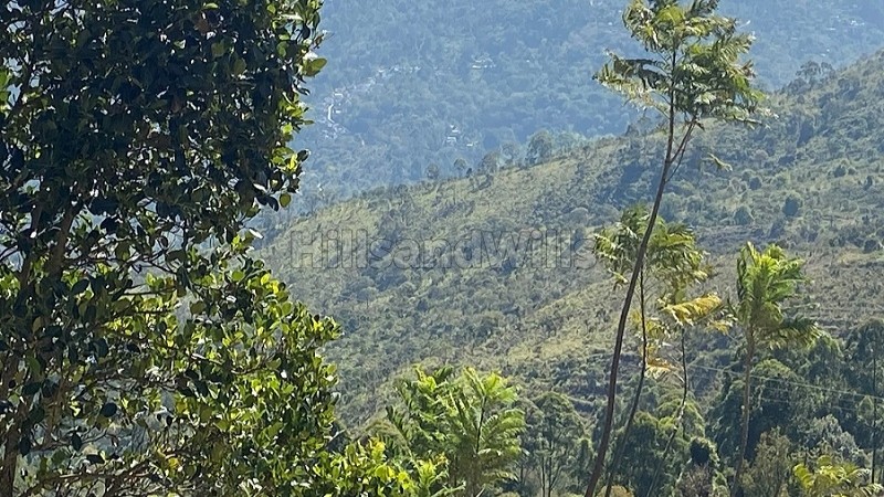 ₹77 Lac - 81 Lac&nbsp;|&nbsp;25 cents - 30 cents residential plot for sale  in vilpatti kodaikanal