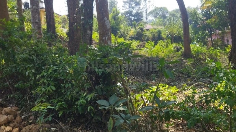 ₹45 Lac | 4580 sq.ft. residential plot for sale in virajpet coorg