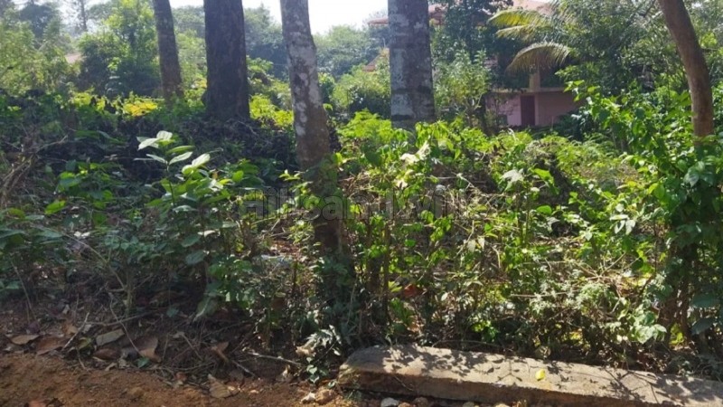 ₹45 Lac | 4580 sq.ft. residential plot for sale in virajpet coorg