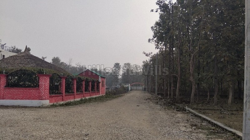 ₹15 Lac - 40 Lac&nbsp;|&nbsp;100 sq.yards - 250 sq.yards residential plot for sale  near rajaji national park dehradun