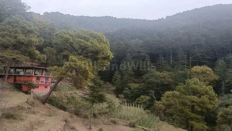 ₹3 Cr&nbsp;|&nbsp;3bhk farm house for sale  in chail shimla