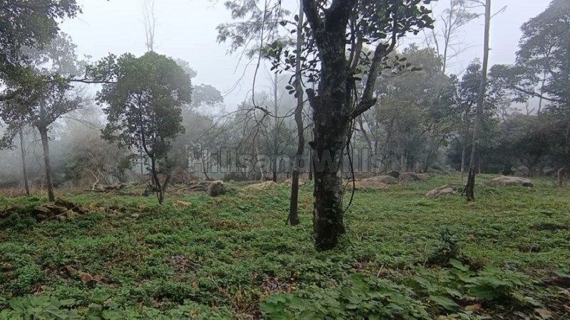 ₹24 Lac&nbsp;|&nbsp;5270 sq.ft. residential plot for sale  in perumalmalai kodaikanal