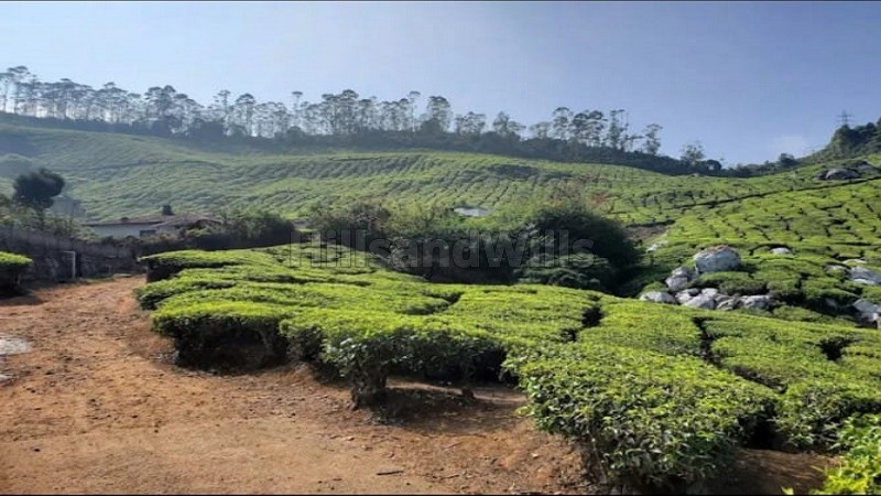 ₹3.50 Cr&nbsp;|&nbsp;5bhk cottage for sale  in munnar town, munnar