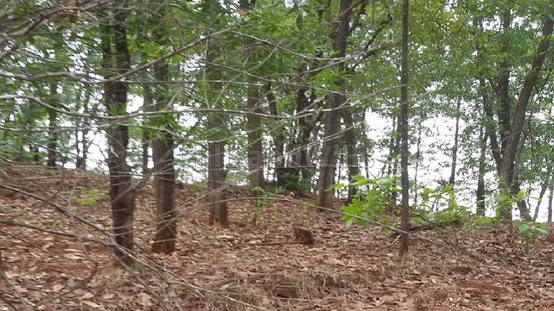 ₹12.50 Lac&nbsp;|&nbsp;5 acres  land with strawberry plantation for sale  in kasrud mahabaleshwar