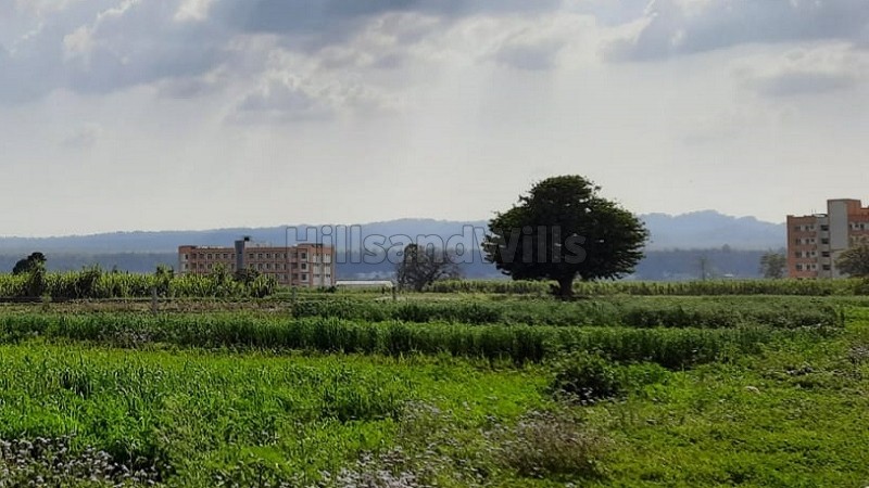 ₹17.77 Lac&nbsp;|&nbsp;141 gaj residential plot for sale  in doiwala dehradun