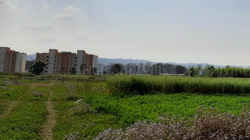 ₹17.77 Lac&nbsp;|&nbsp;141 gaj residential plot for sale  in doiwala dehradun