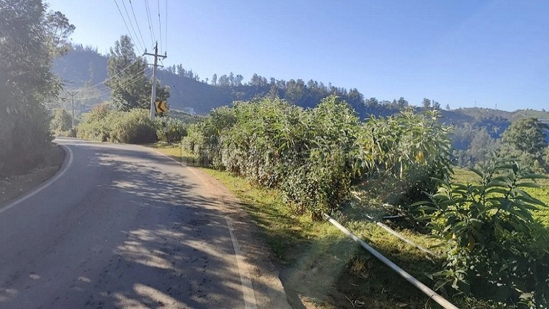 ₹58 Lac&nbsp;|&nbsp;29 cents  lake view land for sale  in nanjanad ooty