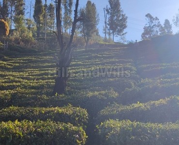 29 cents lake view land for sale in nanjanad ooty 29 cents lake view land for sale in nanjanad ooty