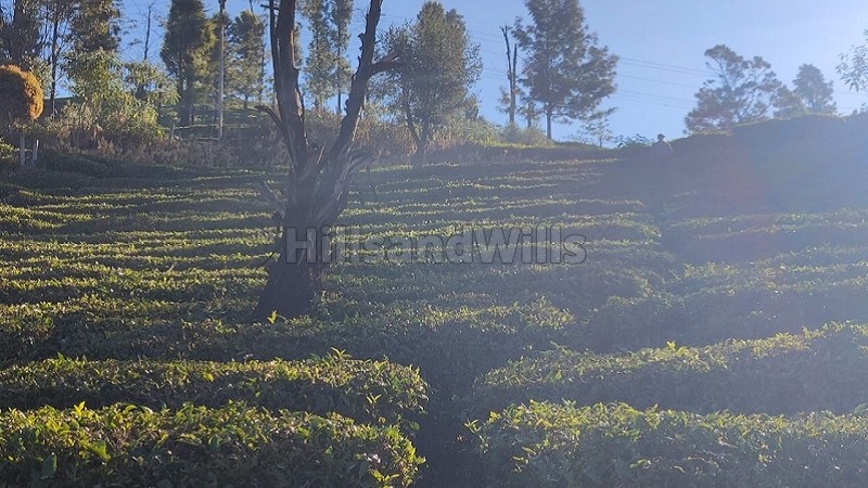 ₹58 Lac&nbsp;|&nbsp;29 cents  lake view land for sale  in nanjanad ooty