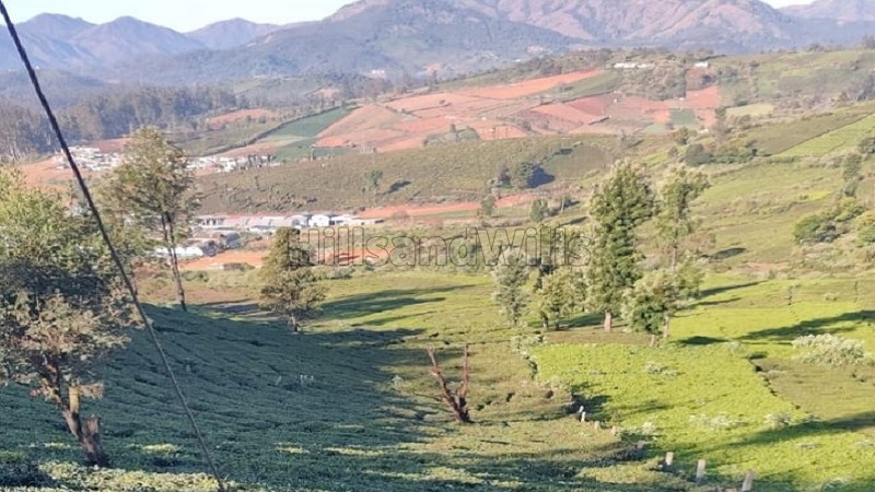 ₹58 Lac&nbsp;|&nbsp;29 cents  lake view land for sale  in nanjanad ooty