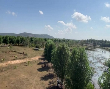 21 cents - 41 cents  gated red sandalwood farm plots for sale  in eastern ghats foothills near thiruvallur chennai