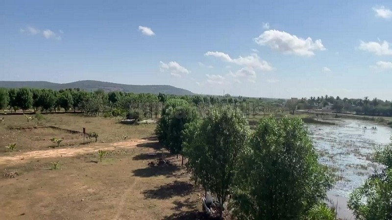 ₹35.70 Lac - 69.70 Lac | 21 cents - 41 cents gated red sandalwood farm plots for sale in eastern ghats foothills near thiruvallur chennai