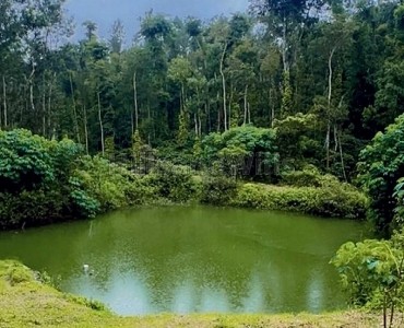 25 acres coffee estate for sale in sakleshpur near chikmagalur 25 acres coffee estate for sale in sakleshpur near chikmagalur